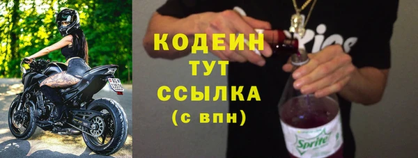 трава Арсеньев