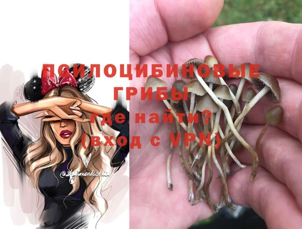 синтетический гашиш Армянск