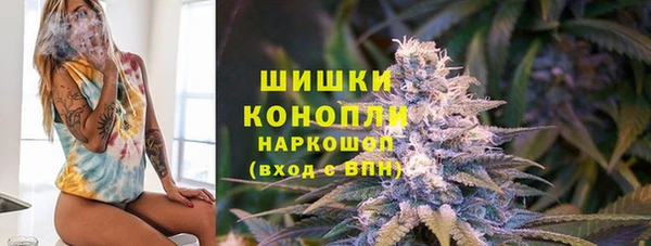 трава Арсеньев