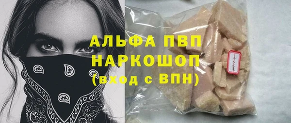 прущие грибы Медвежьегорск
