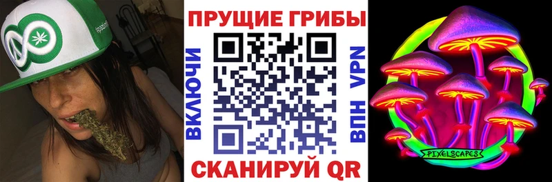 blacksprut ссылки  Урус-Мартан  Псилоцибиновые грибы Magic Shrooms 